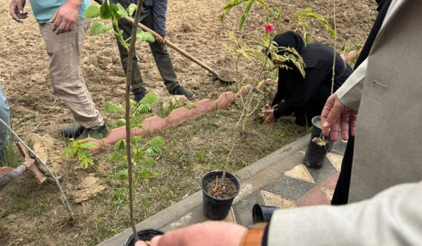 photo_2026-03-12_14-45-11