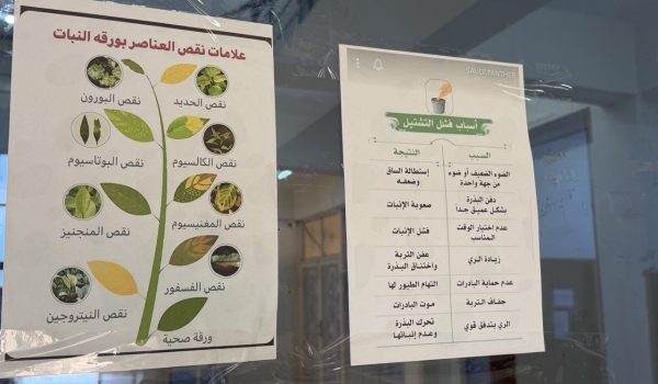 photo_2026-03-12_14-45-42