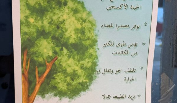 photo_2026-03-12_14-46-11