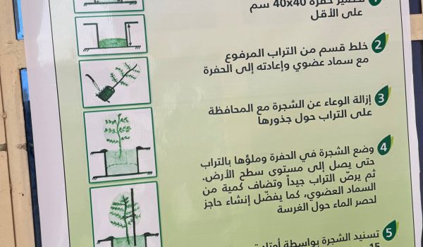 photo_2026-03-12_14-46-14