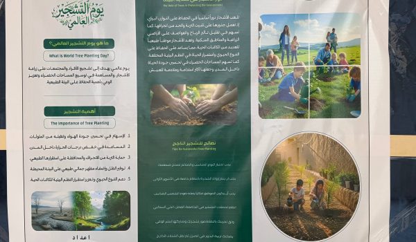 photo_2026-03-12_14-46-17